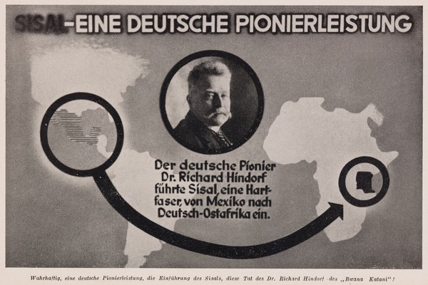 Sisalschmuggel als Pionierleistung