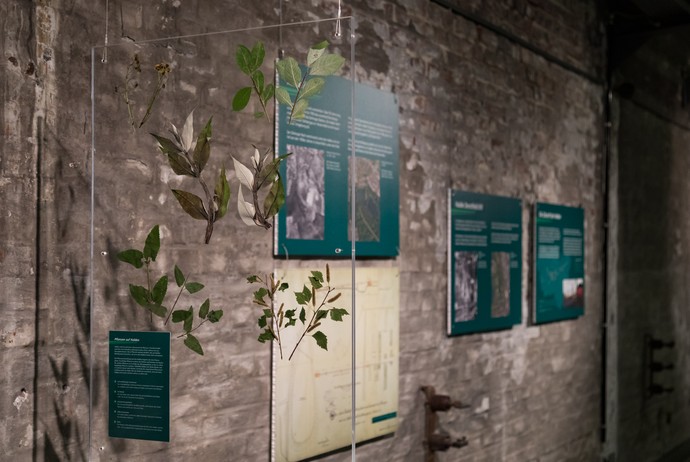 Blick durch unterschiedliche Blätter zwischen zwei Plexiglasscheiben auf Infotafeln der Ausstellung.
