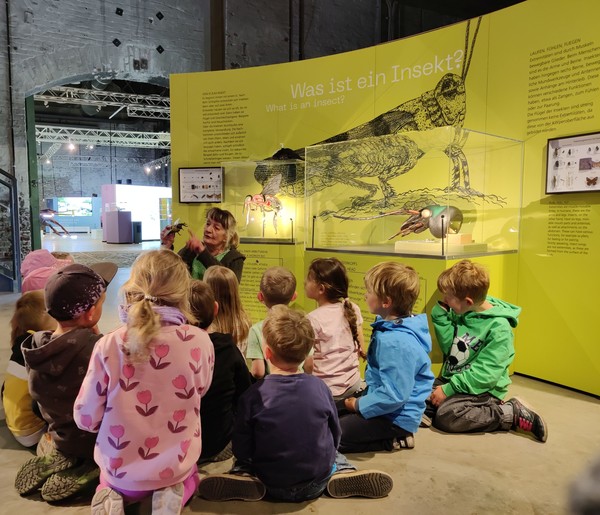 Schüler:innen sitzen in der Ausstellung vor einer gelben Wand mit einer Insektengrafik