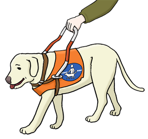 Zeichnung eines Blindenhundes