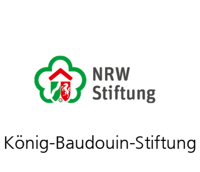 Logo König-Baudouin-Stiftung