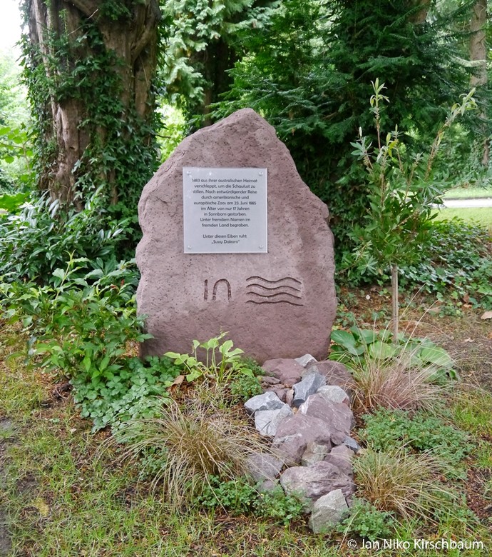 Gedenkstein für Sussy Dakaro Wuppertal, 2017